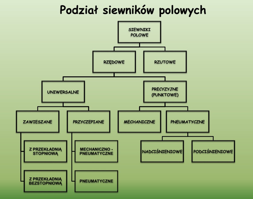 Przykład